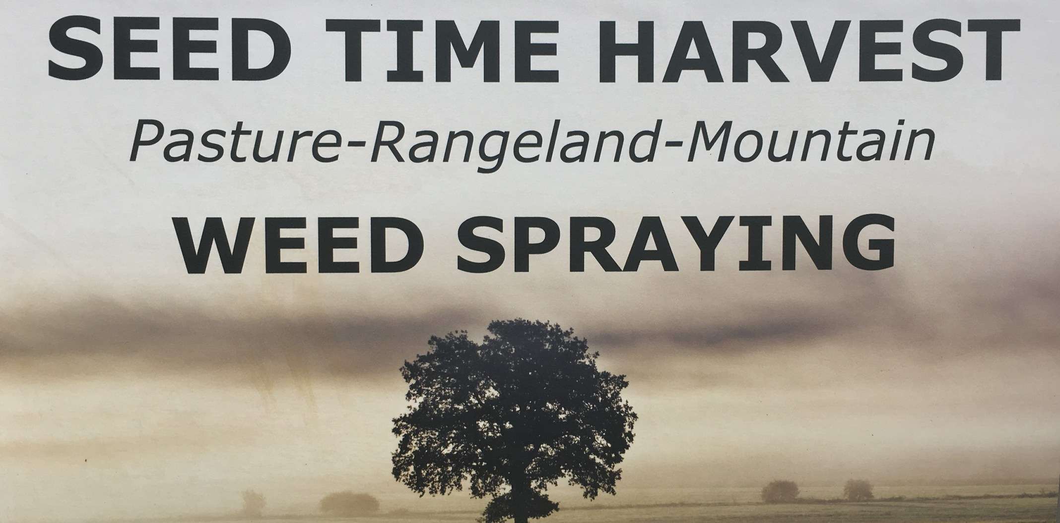 Seed Time Harvest Logo