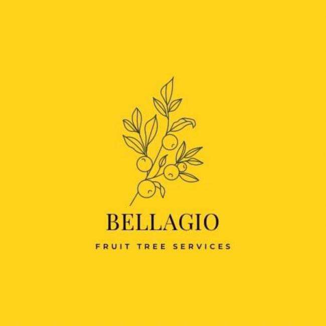 BellagioTree Services Logo