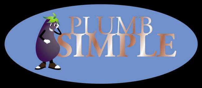 Plumb Simple, LLC Logo