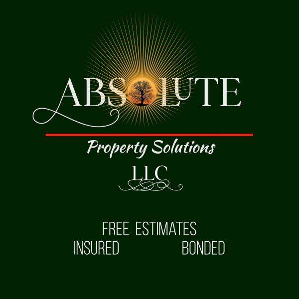 Absolute Property Solutions Logo