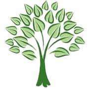 North Raleigh Tree Service Logo