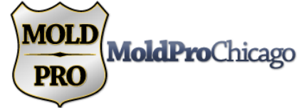 Mold Pro Chicago Logo