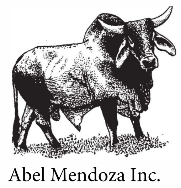 Abel Mendoza Inc. Logo
