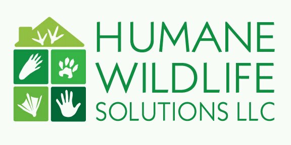 Humane Wildlife Solutions LLC Logo