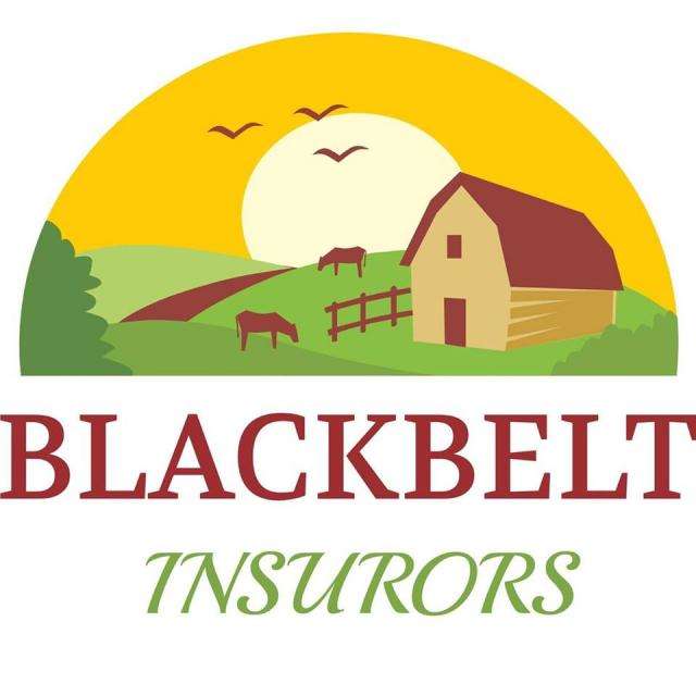 Blackbelt Insurors, Inc. Logo