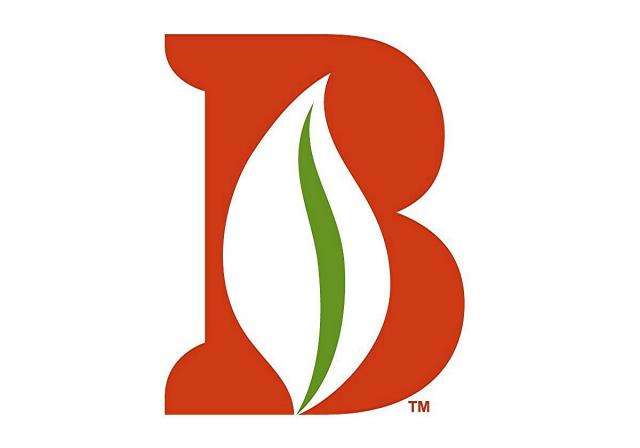 Bailey Land Group, Inc. Logo