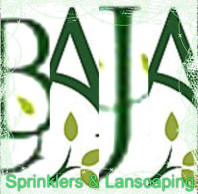 Baja Sprinkler and Landscape Logo