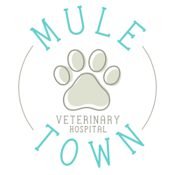 Mule Town Veterinary Hospital, PC Logo