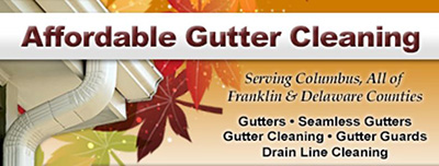 Gutter Cleaning