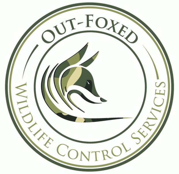 Out-Foxed Wildlife Control Services Logo