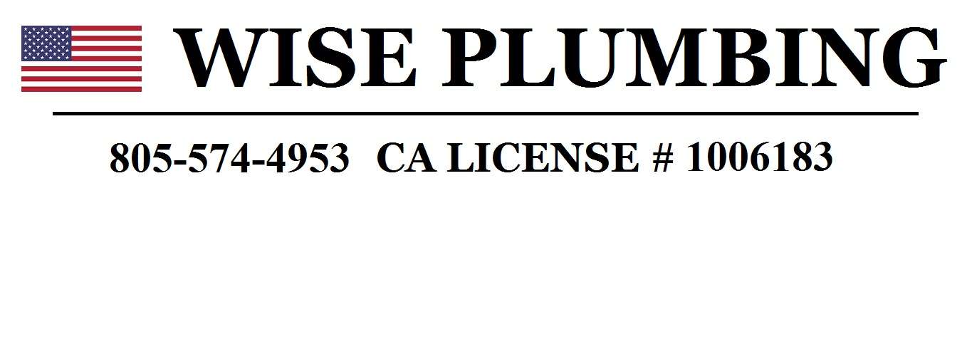 Wise Plumbing Logo