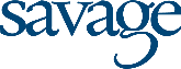 Savage & Associates, Inc. Logo