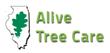 Alive Tree Care Logo