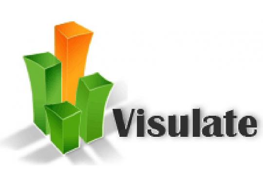 Visulate LLC Logo