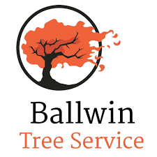 Ballwin Tree Service Logo