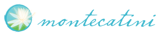 Montecatini Logo