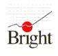 Bright Learning Enterprises, LLC Logo