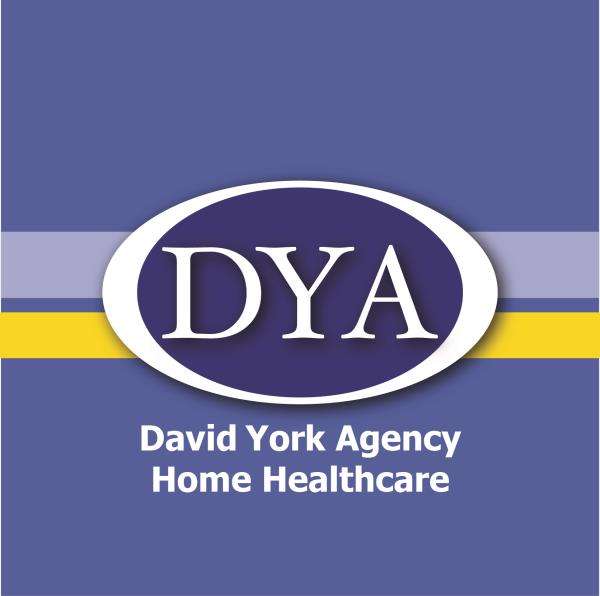 David York Agency, Ltd. Logo