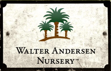 Walter Andersen Nursery Logo