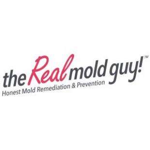 the Real mold guy Logo
