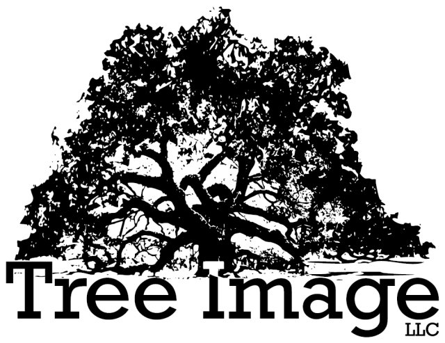 Tree Image, LLC Logo