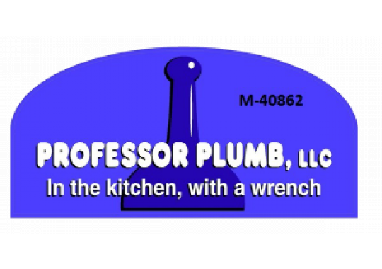Professor Plumb LLC Logo