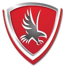 Falcon Insurance Group, LLC Logo