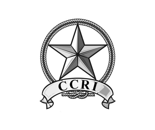 C & C Research & Investigations Logo