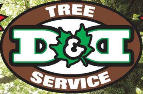 D & D Tree Service Inc Logo
