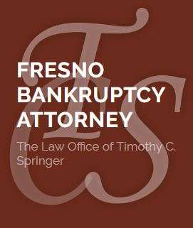 Law Offices of Timothy Springer Logo