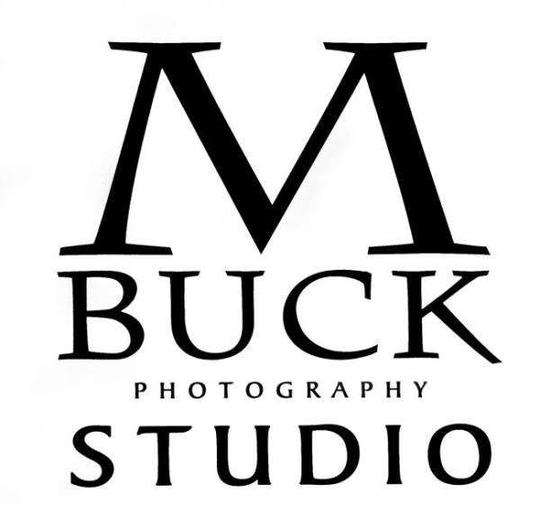 M Buck Studio, LLC Logo