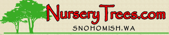 NurseryTrees.com LLC Logo