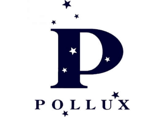 Pollux Systems, Inc. Logo