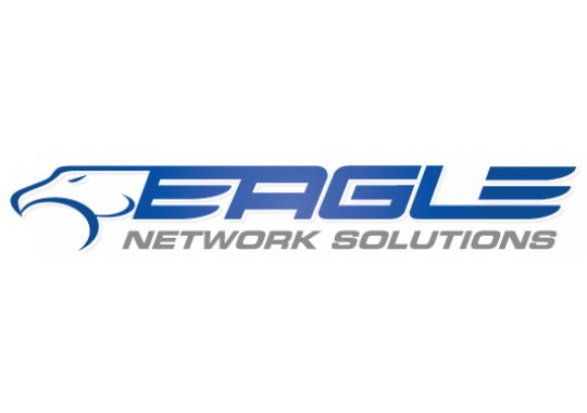 Eagle Network Solutions Logo
