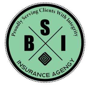 Benefit Solutions Incorporated Insurance Agency Logo
