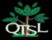 Quality Tree Service & Landscape Maintenance LLC Logo