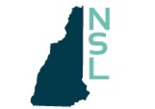 Niederman, Stanzel & Lindsey PLLC Logo