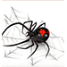 RedBack Pest Management Logo