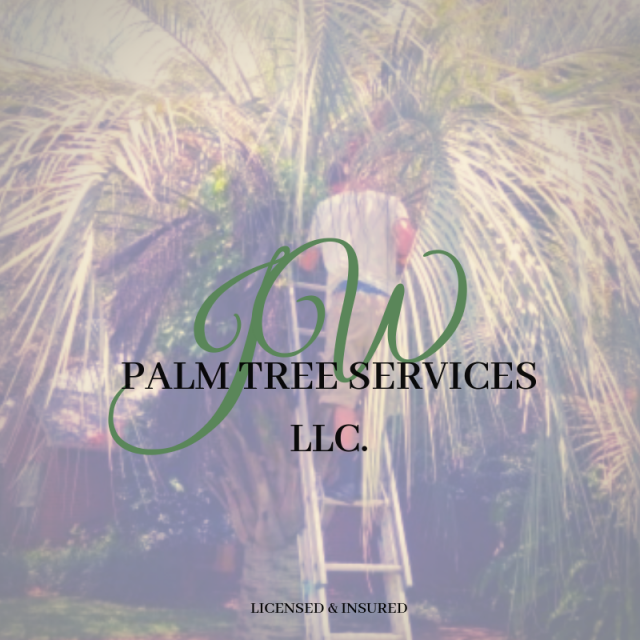 JW Palm Tree Services & Residential House Cleaning, LLC Logo