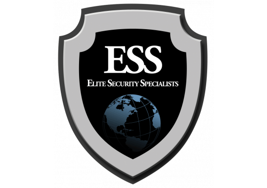ESS Global Corporation Logo