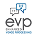 E V P Information Services Logo