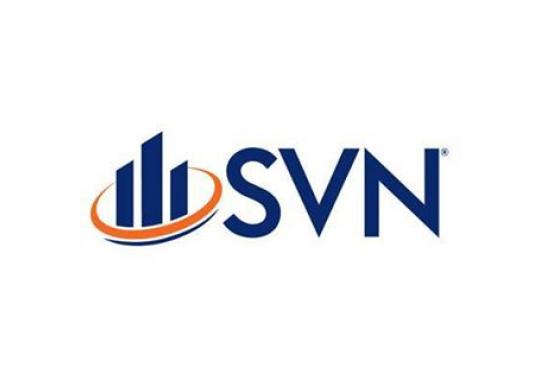 SVN/The Martin Group Logo