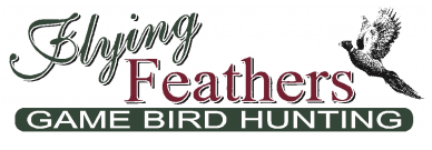 Flying Feathers, LLC Logo