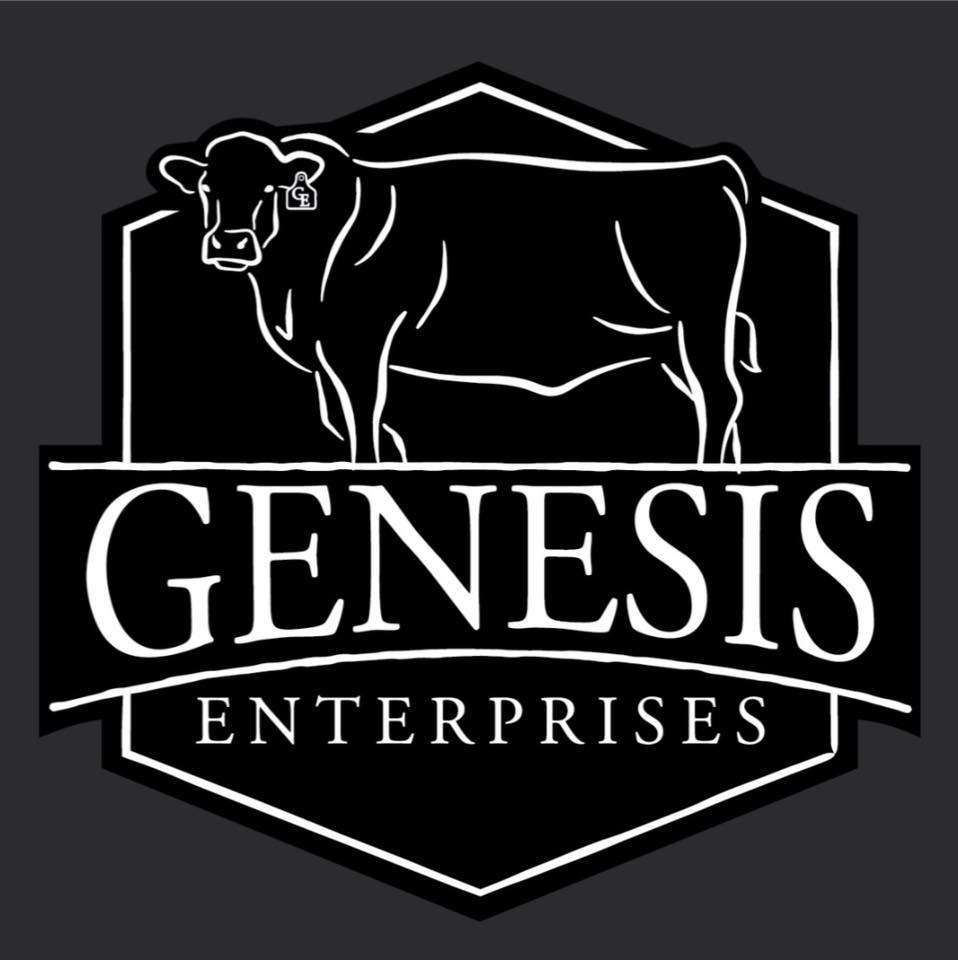 Genesis Enterprises, LLC Logo