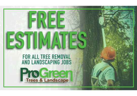 Pro Green Trees & Landscaping, LLC Logo