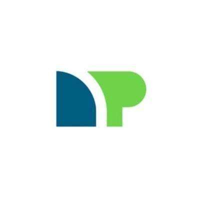 Net Pay Advance, Inc. Logo