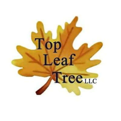 Top Leaf Tree, LLC Logo