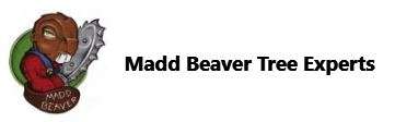 Madd Beaver Tree Experts & Stump Grinding Specialist LLC Logo