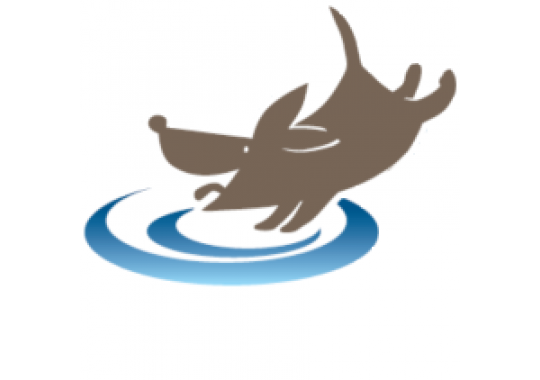 The Dog Dive Logo