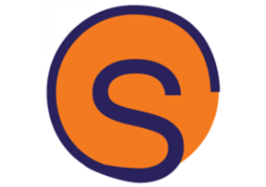 Sunden Management Ltd. Logo